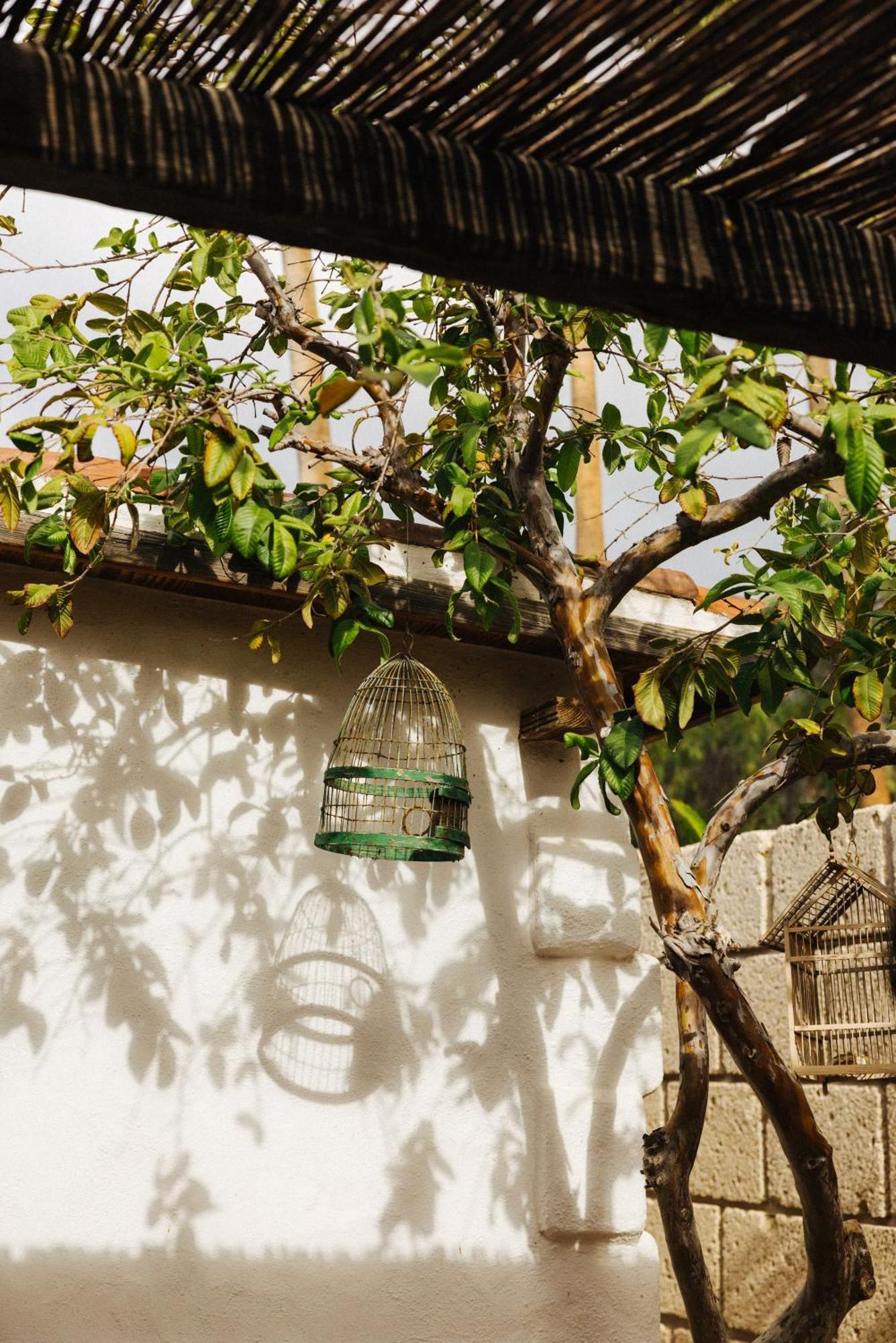 Casa Jable Nueva Villa Costa Adeje  ภายนอก รูปภาพ